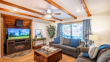 Tv, pejs, spillekonsol, bøger