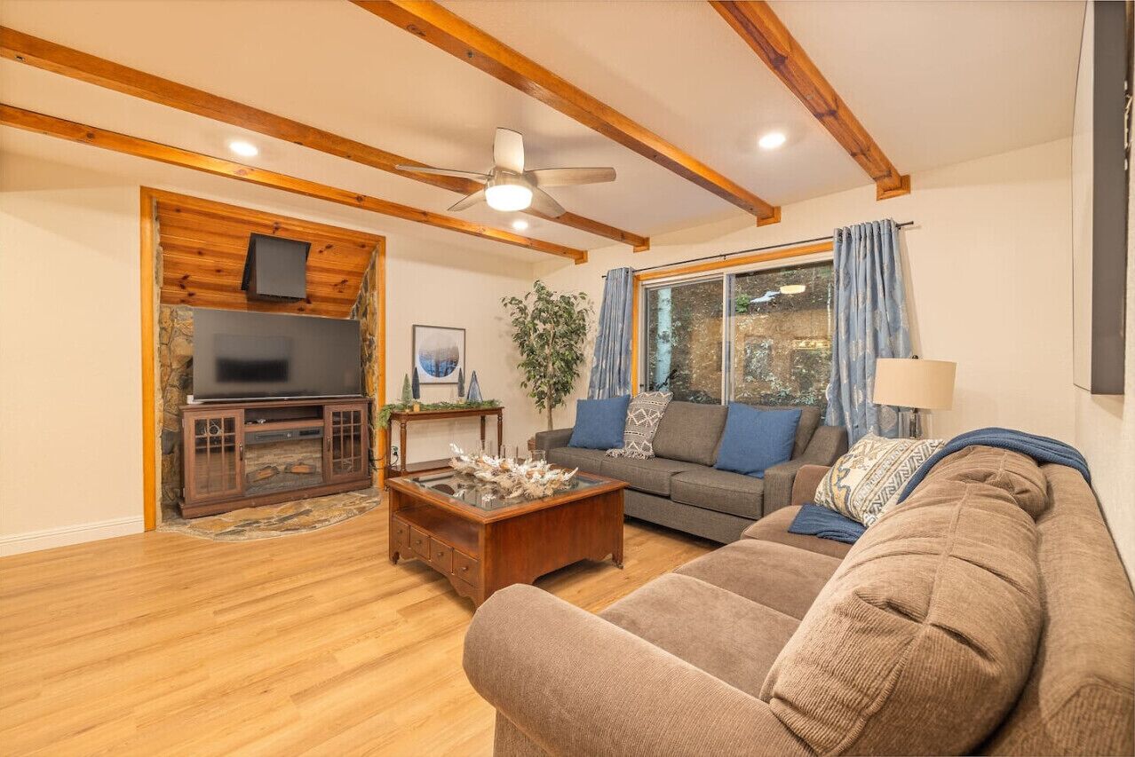 Smart TV, fireplace, video games, books