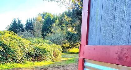 Tiny House