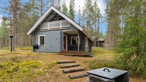 Uklassifisert bilde, 4 av 19, knapp