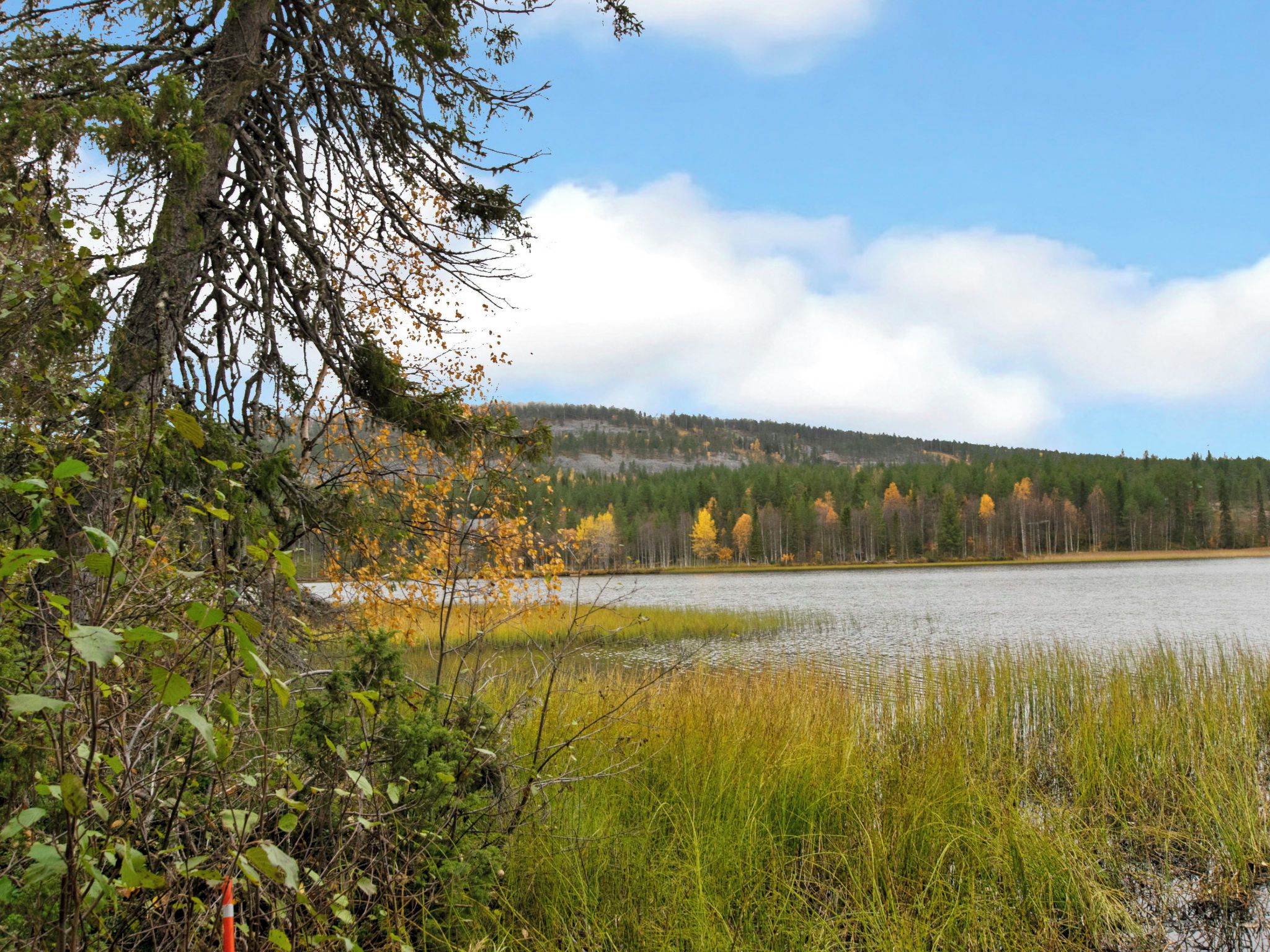 Un paisaje natural con un lago, árboles y una colina al fondo.