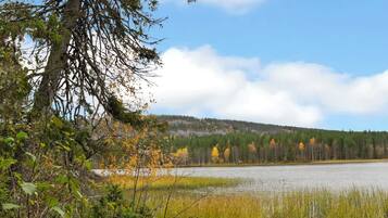 Un paisaje natural con un lago, árboles y una colina al fondo.