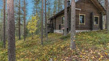Ulkopuoli