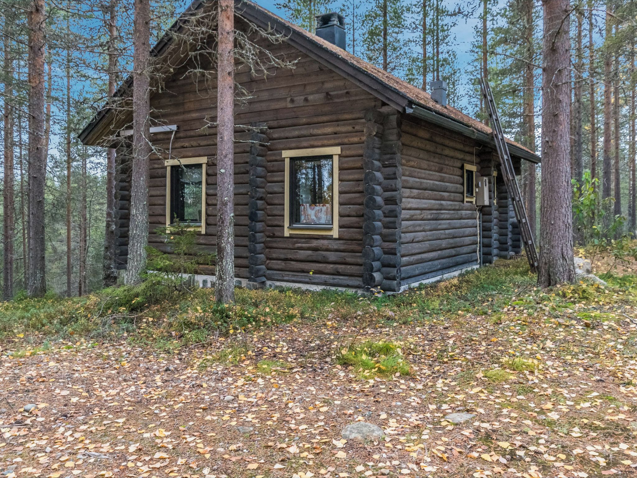 A log cabin with two windows and a chimney, surrounded by a forest.