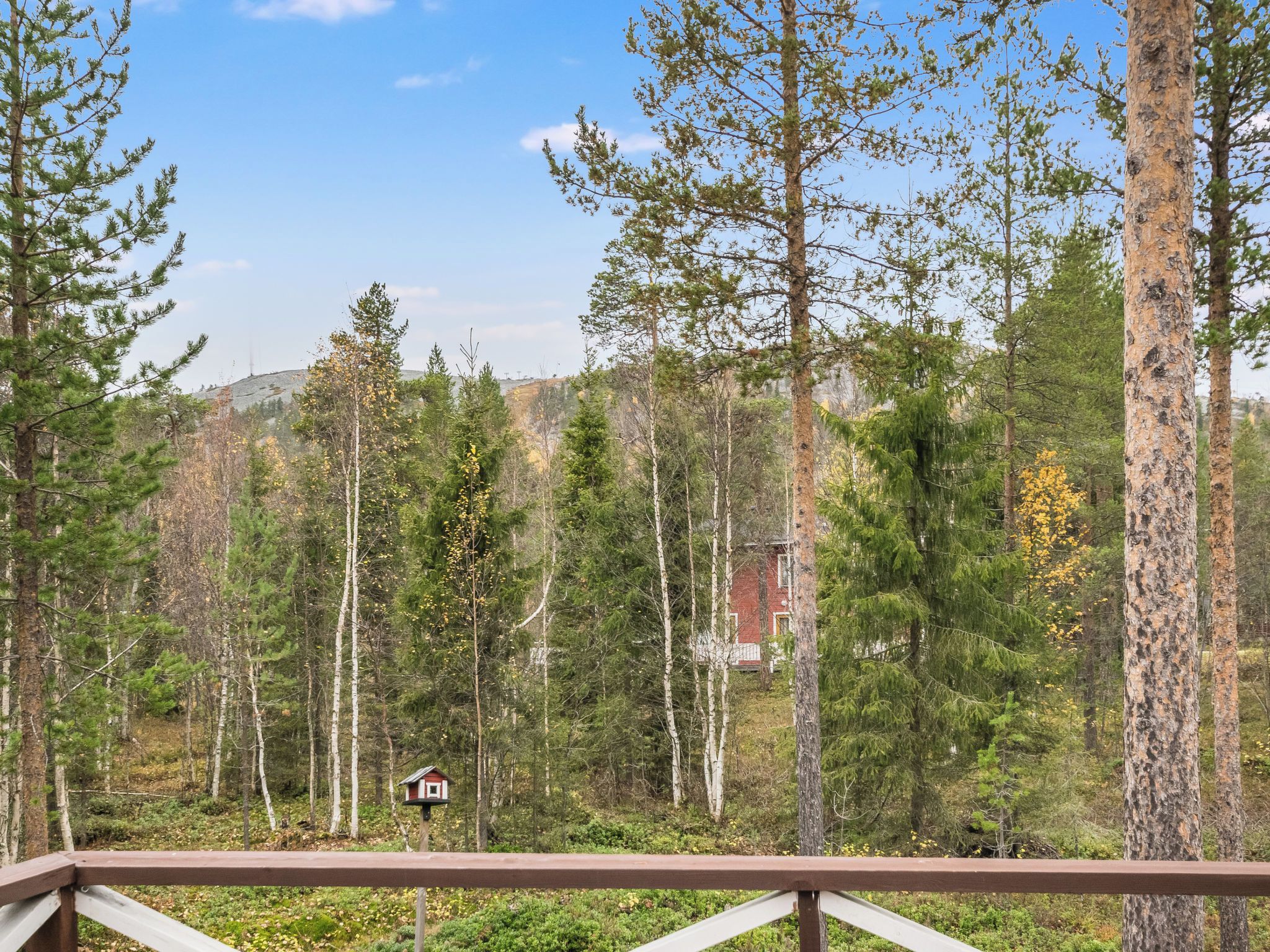 Une zone boisée avec une terrasse en bois offrant une vue sur les arbres.