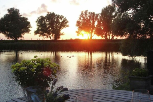 Ein Sonnenuntergang über ruhigem Wasser, mit Bäumen am Horizont.