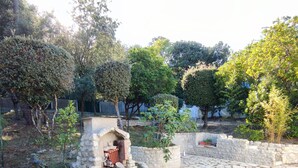 A stone-built outdoor area with a small stone bench, steps leading to a stone structure, and a variety of trees and shrubs. - Quiet house near Domino market (Saint-Georges-d'Oléron)