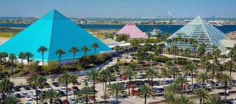 Cute home near Moody Gardens. Pet Friendly