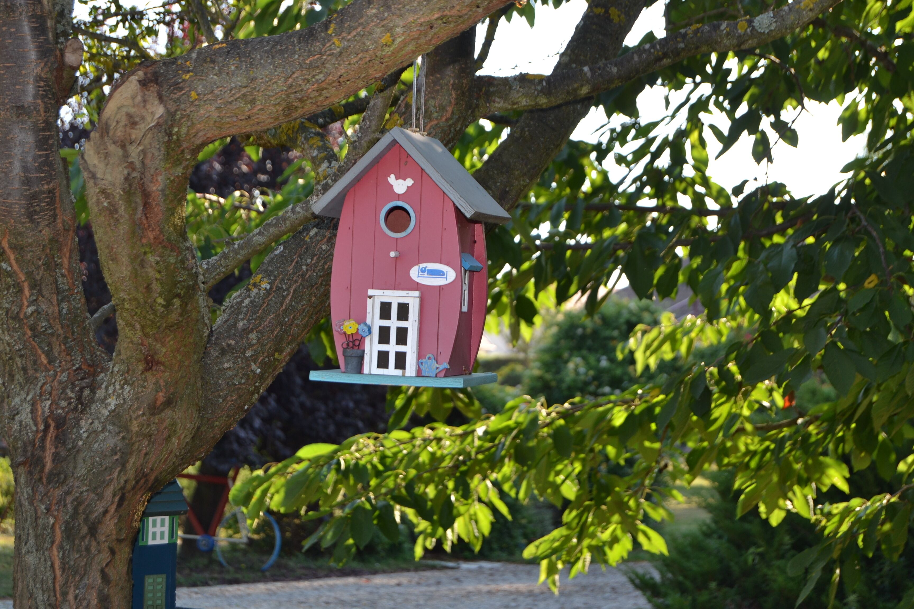 A birdhouse hanging from a tree.