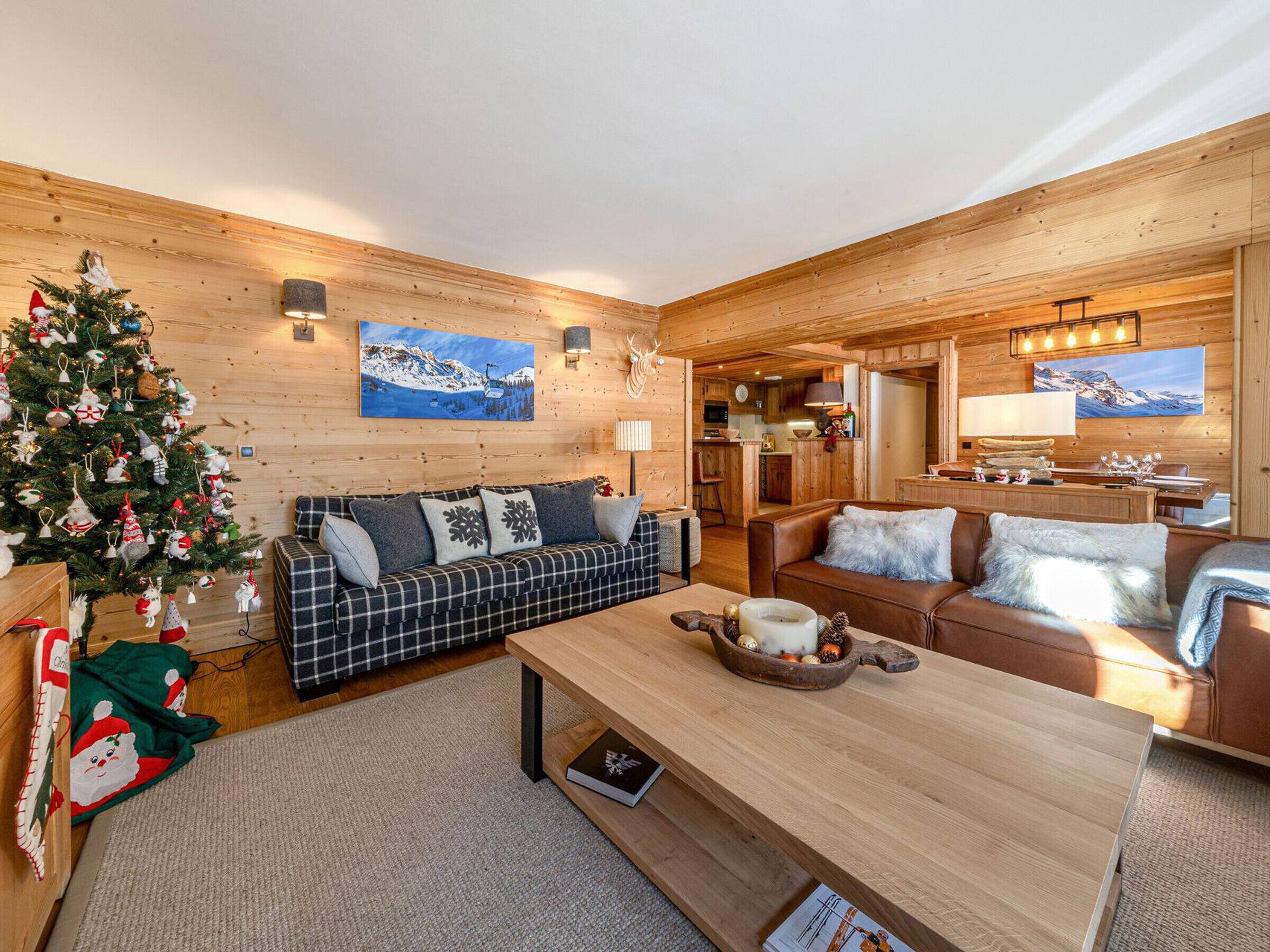 电视、DVD 播放器