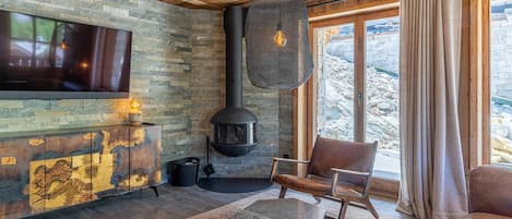 TV, fireplace, books