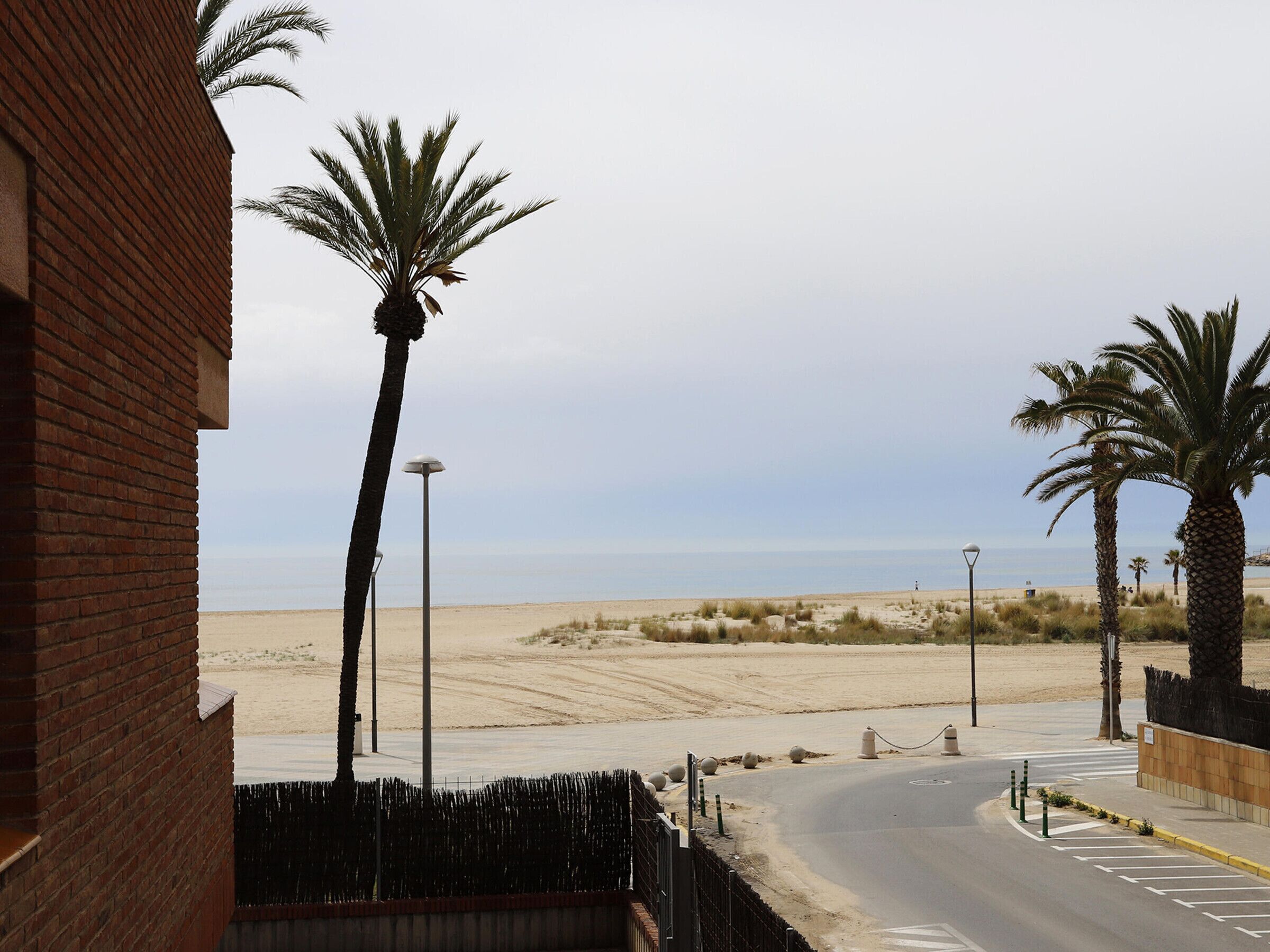 Une route côtière bordée de palmiers, une plage de sable et une vue dégagée sur la mer.