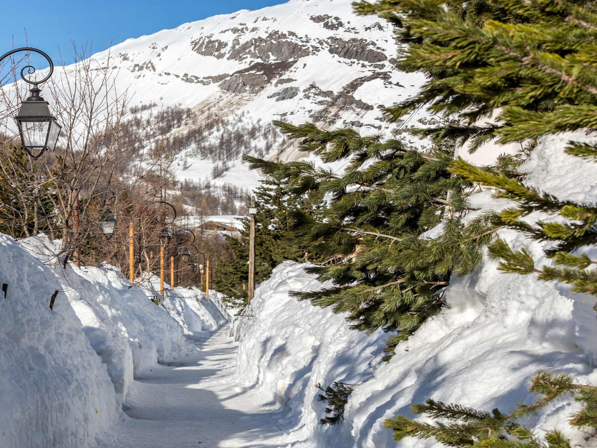 Un sentier enneigé, avec une montagne en arrière-plan et un pin sur la droite.
