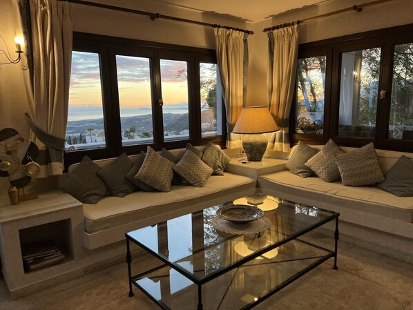 Smart TV, fireplace, books, music library