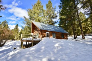 A log cabin with a metal deck and a snow-covered ground, surrounded by trees.