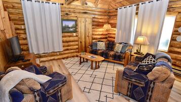 Télévision, cheminée, lecteur de DVD