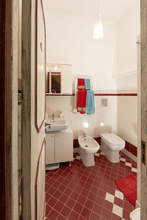 Shower, hair dryer, bidet, towels