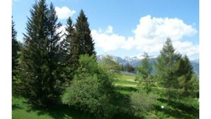 Eine natürliche Landschaft mit Bäumen und blauem Himmel.