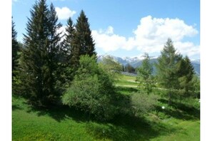 Terrain de l’hébergement 