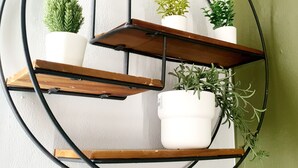 Een wandplank met meerdere niveaus, elk met een potplant.