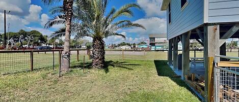 Un barrio residencial con una casa, un patio cercado y una palmera.