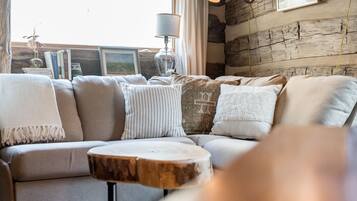 Cheminée, lecteur de DVD, livres