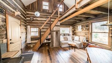 Cheminée, lecteur de DVD, livres