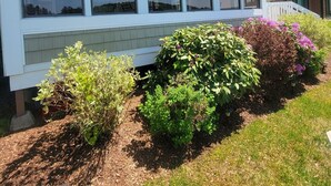 Une maison à deux étages dotée d’un porche abrité, de grandes fenêtres et d’un jardin bien entretenu, agrémenté de divers arbustes et de fleurs.
