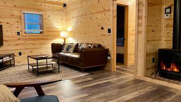 TV connectée, cheminée, lecteur de DVD, livres