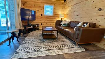 TV connectée, cheminée, lecteur de DVD, livres