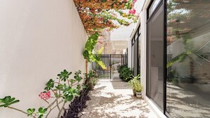 Un étroit sentier pavé, bordé de plantes en pot, et une porte en verre donnant accès à un bâtiment.