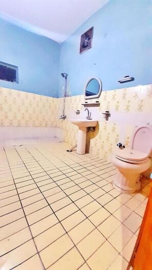 Habitació doble Deluxe | Bany | Dutxa, articles de tocador gratuïts i tovalloles