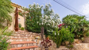 Uma escadaria de pedra leva à entrada de um edifício, rodeada por diversas plantas e cactos.
