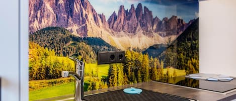 Fridge, microwave, stovetop, dishwasher