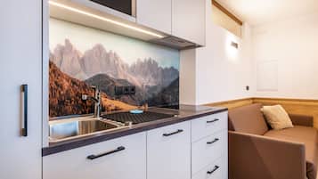 Kühlschrank, Mikrowelle, Herdplatte, Geschirrspüler