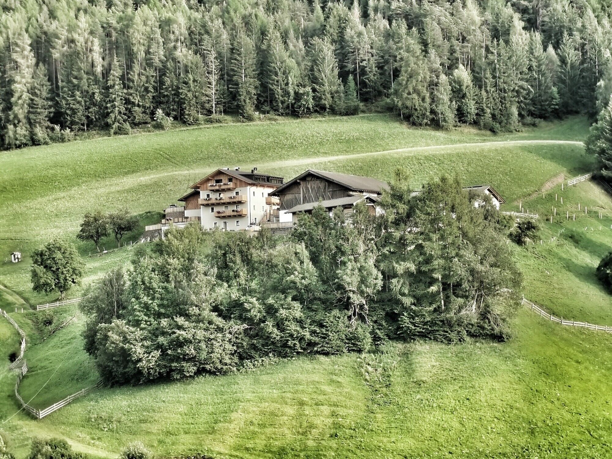 Esterni