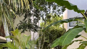 A concrete pathway flanked by lush tropical plants and trees, leading to a building with a beige facade and black-framed windows. - TULUM loft in the Heart of Aldea Zama (Tulum)