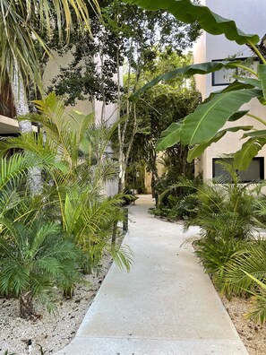 Terrein van de accommodatie