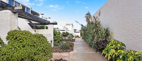 Un étroit chemin de béton, bordé de murs blancs et de différentes plantes, mène à un bâtiment doté d’un toit en pente.