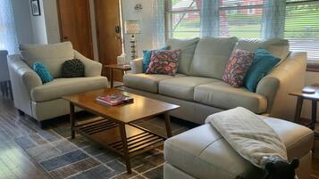 TV connectée, cheminée, livres