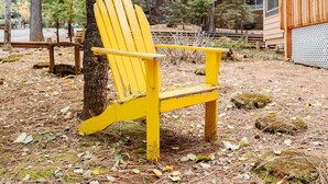 Uma cadeira Adirondack amarela sob uma árvore com folhas amarelas, um deck de madeira e uma cabana com grandes janelas.