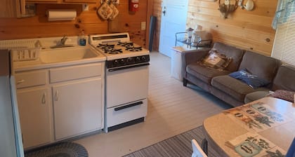Bucktail Lodge Bayview Cabin, view of the East Fork of the Chippewa flowage