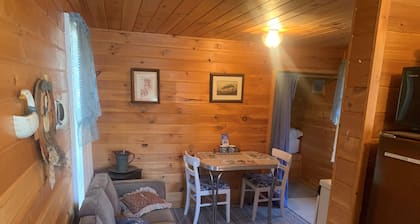 Bucktail Lodge Bayview Cabin, view of the East Fork of the Chippewa flowage
