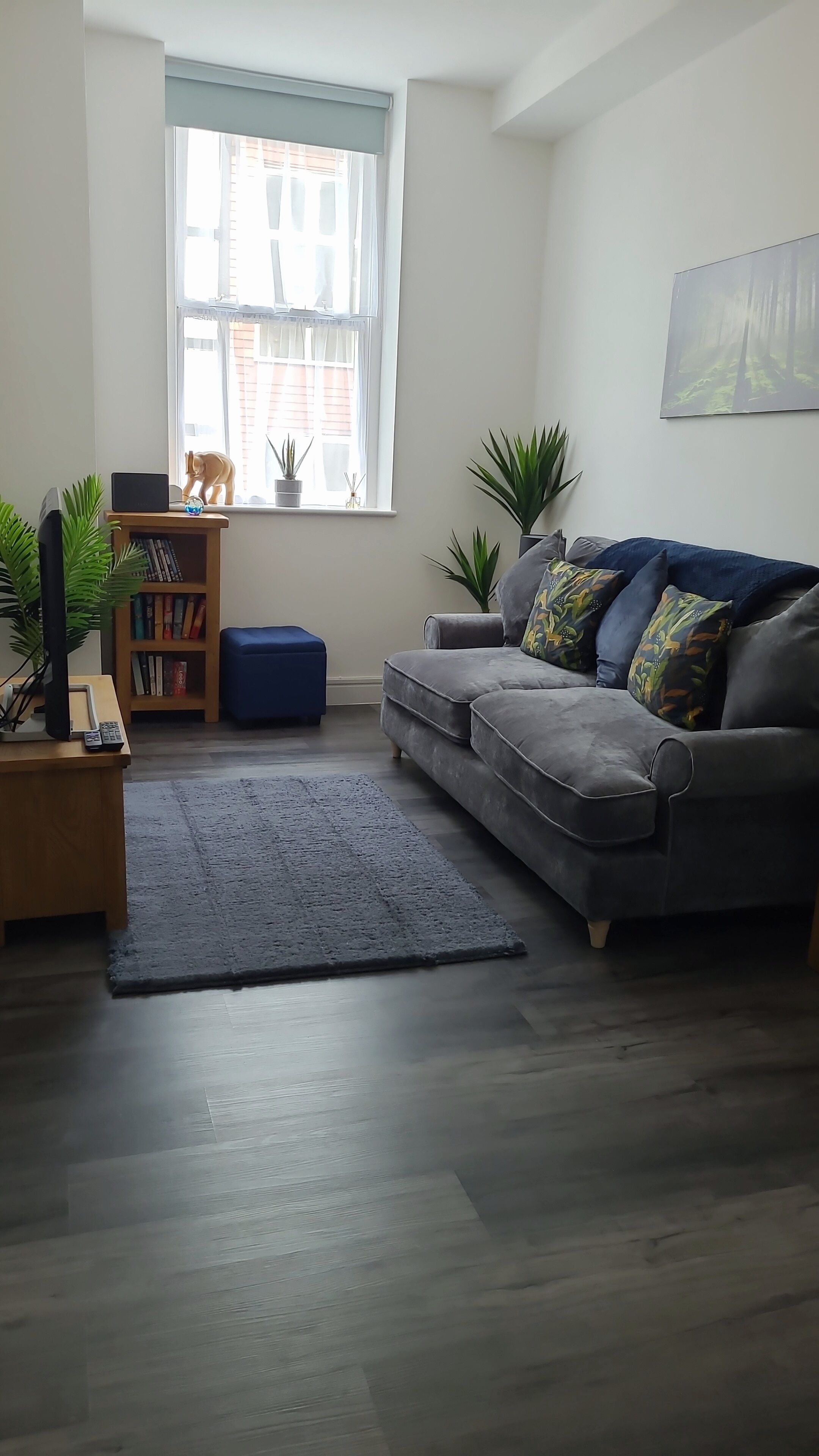 Smart-TV, Netflix, DVD-Player, Bücher