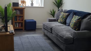 Smart-TV, Netflix, DVD-spiller og bøker