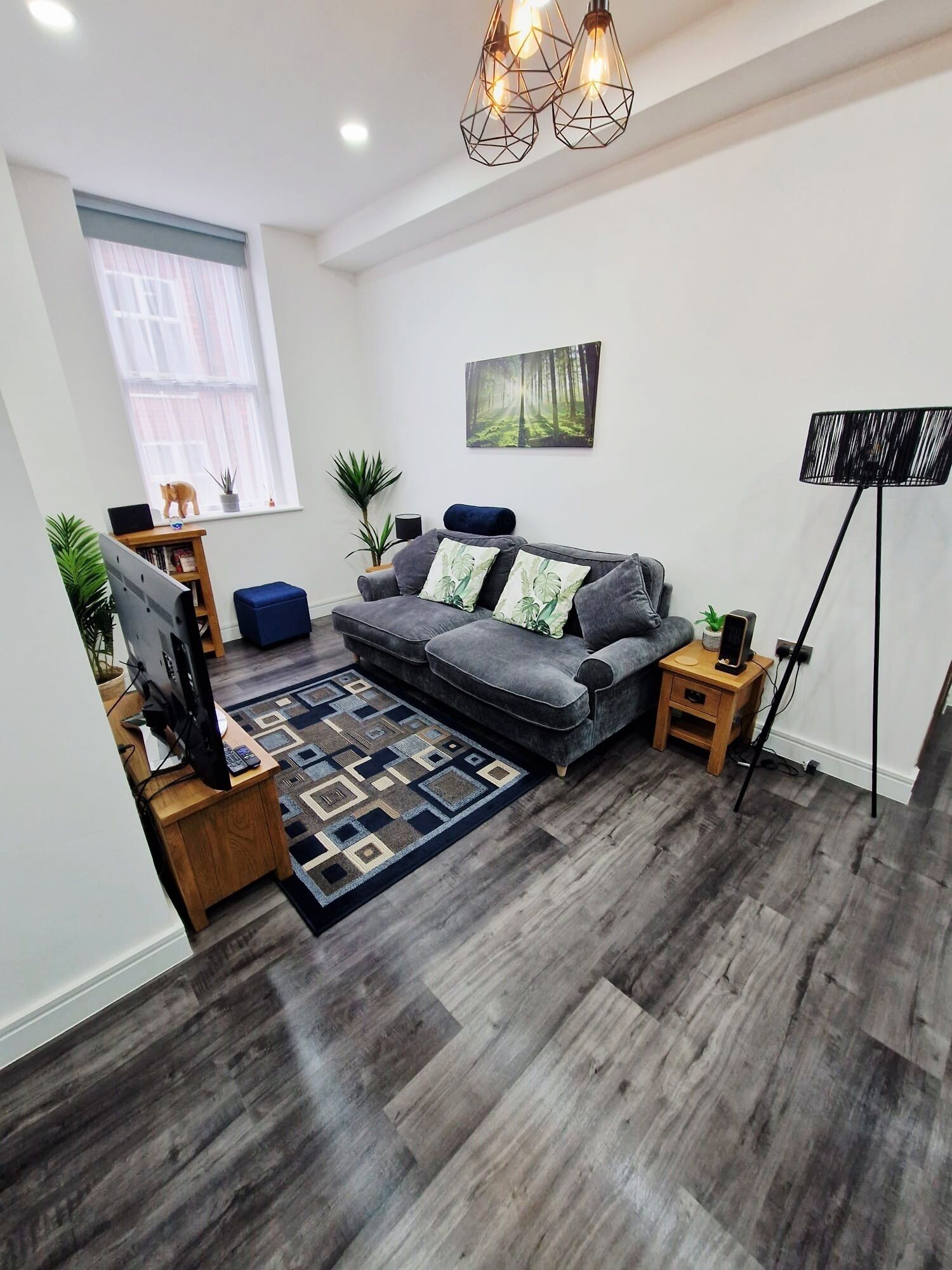 Smart TV, Netflix, DVD player, books