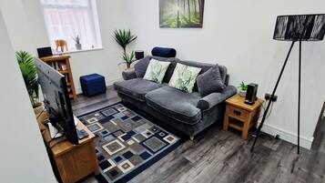 Smart TV, Netflix, DVD player, books