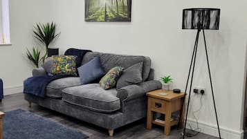 Smart-TV, Netflix, DVD-spiller og bøker