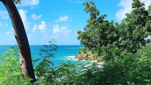A coastal landscape with dense greenery and a clear view of the ocean. - ✩ Amazing ocean view (St Thomas)