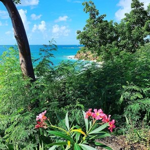 A coastal landscape with dense greenery and a clear view of the ocean.